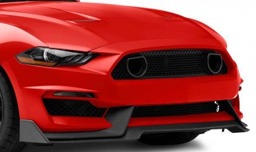 Решетка радиатора Ford Mustang (2018-2021) для бампера GT350  фото