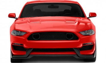 Решетка радиатора Ford Mustang (2018-2021) для бампера GT350  фото