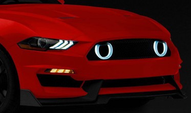 Решетка радиатора Ford Mustang (2018-2021) для бампера GT350  фото