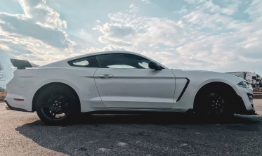 Стальные крылья Ford Mustang (2018-2021 GT, Ecoboost) GT350 стиль фото