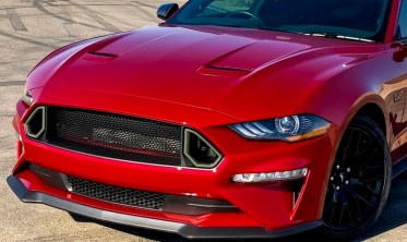 Решітка в бампер Ford Mustang (2018-2022) rtr стиль фото