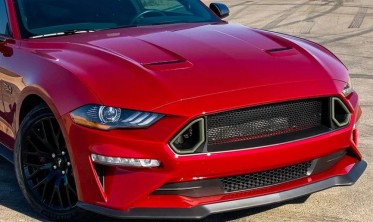 Решітка в бампер Ford Mustang (2018-2022) rtr стиль фото