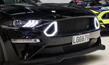 Решітка в бампер Ford Mustang (2018-2022) rtr стиль фото