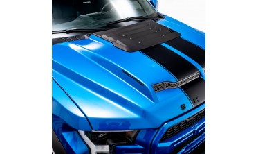 Капот Ford f150 (2015-2020) shelby baja edition style фото