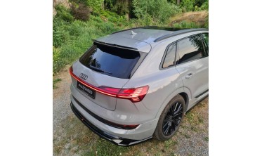 Тюнінговий дифузор (накладка) на задній бампер Audi e-Tron S-Line фото