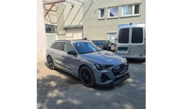 Тюнінгові накладки (лістви) на бокові пороги Audi e-Tron S-Line фото