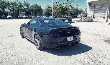 Диффузор заднего бампера Ford Mustang (2015-2017) base  фото