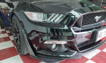 Бокові дифузори Ford Mustang VI (2014-2022) GT500 Style фото
