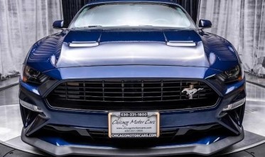 Решітка радіатора Ford Mustang (2018-2021) Ecoboost, GT California special фото