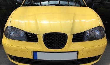 Тюнінгова решітка радіатора Seat Ibiza 3 (2002-2009) фото