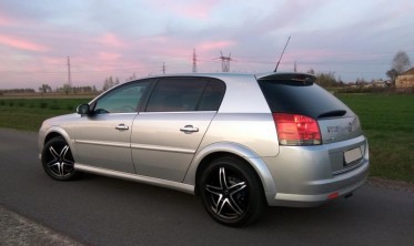 Спойлер крышки багажника Opel Signum (2002-...) фото