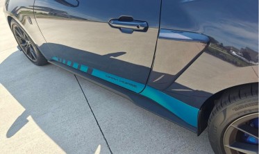 Накладки на задние крылья Ford Mustang (2023-...) фото