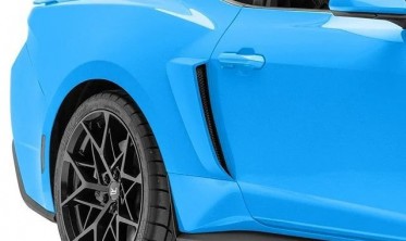 Накладки на задние крылья Ford Mustang (2023-...) фото