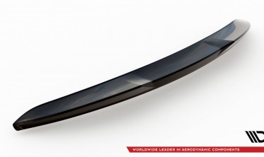 Тюнінговий 3D спойлер на багажник Tesla Model 3  фото