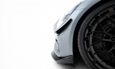Комплект накладок на передній бампер (Canards) Mercedes-AMG GT C C190 2017-2023 фото