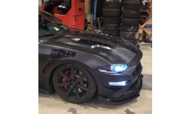 Алюминиевые крылья Ford Mustang (2018-2021 GT, Ecoboost) GT500 стиль фото