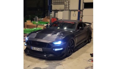 Алюминиевые крылья Ford Mustang (2018-2021 GT, Ecoboost) GT500 стиль фото