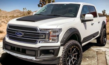 Захисні накладки на двері Ford f150 (2015-2020) фото