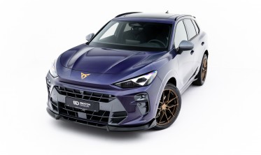 Тюнинг накладка (юбка) на передний бампер Cupra Terramar Mk1 вар. 1 фото