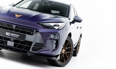 Тюнинг накладка (юбка) на передний бампер Cupra Terramar Mk1 вар. 1 фото