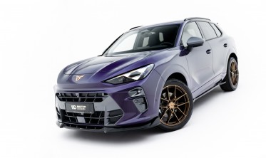 Тюнинг накладка (юбка) на передний бампер Cupra Terramar Mk1 вар. 1 фото