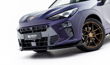 Тюнинг накладка (юбка) на передний бампер Cupra Terramar Mk1 вар. 1 фото