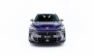 Тюнинг накладка (юбка) на передний бампер Cupra Terramar Mk1 вар. 1 фото