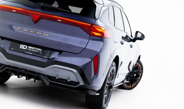 Диффузор (накладка) заднего бампера Cupra Terramar Mk1 вар. 2 Maxton-design фото