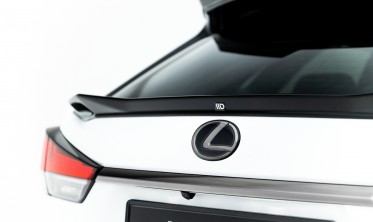 Нижній 3D спойлер (накладка) на кришку багажника Lexus RX Mk4 післярестайл фото