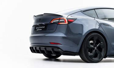 Тюнинг накладки на задний бампер Tesla Model 3 для диф. TE-MODEL3-1-RS2G фото