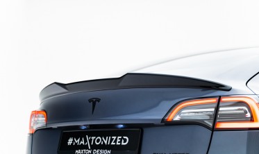 Тюнінговий 3D спойлер на багажник Tesla Model 3  фото