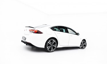 Листвы накладки под боковые пороги Opel Insignia Mk2 OPC-Line тюнинг фото