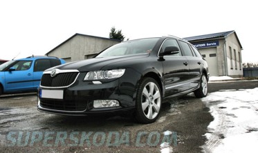 Накладки на фары (реснички) Skoda Superb II нижние фото