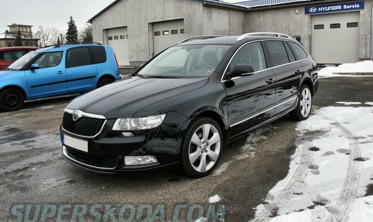 Накладки на фары (реснички) Skoda Superb II нижние фото