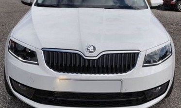 Реснички (накладки на фары) Skoda Octavia III фото
