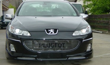 Реснички (накладки на фары) Peugeot 407 фото