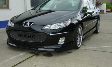Реснички (накладки на фары) Peugeot 407 фото