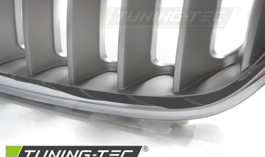 Решетка радиатора BMW X5 E53 LCI серебро / хром фото