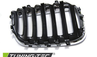 Решетка радиатора BMW X5 E53 LCI серебро / хром фото