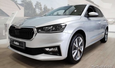 Защитная листва на задний бампер из нержавейки Skoda Fabia 4  фото