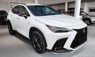 защитная накладка на задний бампер Lexus NX II фото