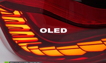 Ліхтарі задні Oled (стопи тюнінг) BMW 5 F10 червоні фото