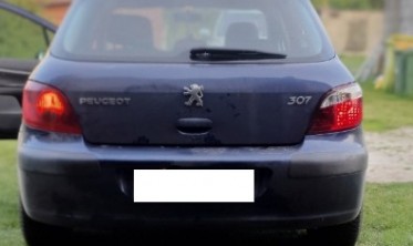 Фонари задние Peugeot 307 hatchback фото