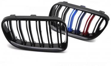 Решітка радіатора (ноздрі) BMW 3 E92, E93 LCI 2010-2013 кольорові фото