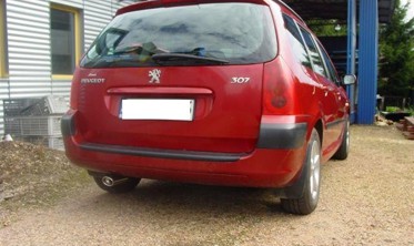 Модельный глушитель Peugeot 307 COMBI (121-115/10-1) фото