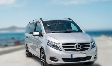 Накладки на пороги Mercedes V W447 матовые фото