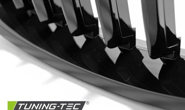 Решетка (ноздри) BMW F20 / F21 черная глянцевая  фото