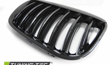 Решетка радиатора BMW X5 E53 черная глянцевая фото