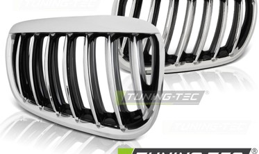 Решітка радіатора BMW X5 E53 хром фото